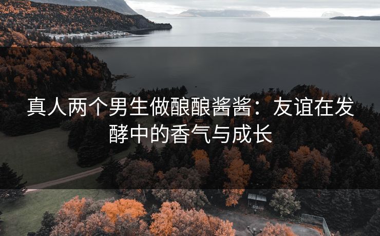 真人两个男生做酿酿酱酱:友谊在发酵中的香气与成长