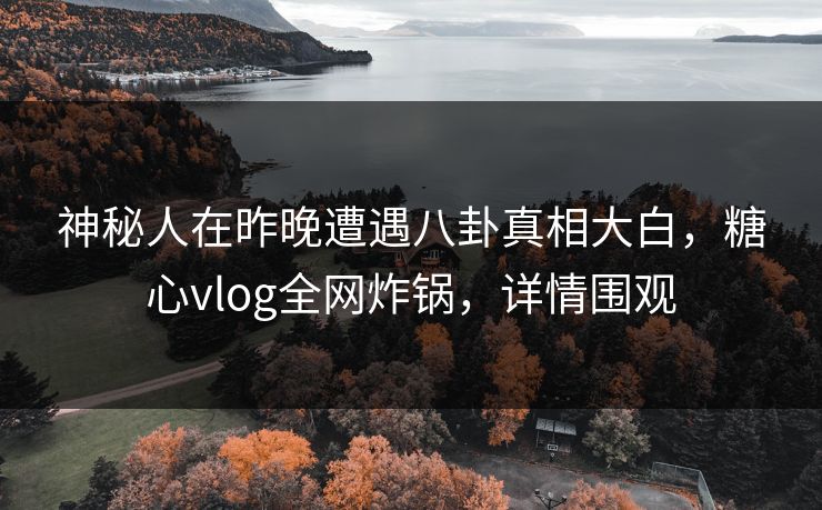神秘人在昨晚遭遇八卦真相大白,糖心vlog全网炸锅,详情围观